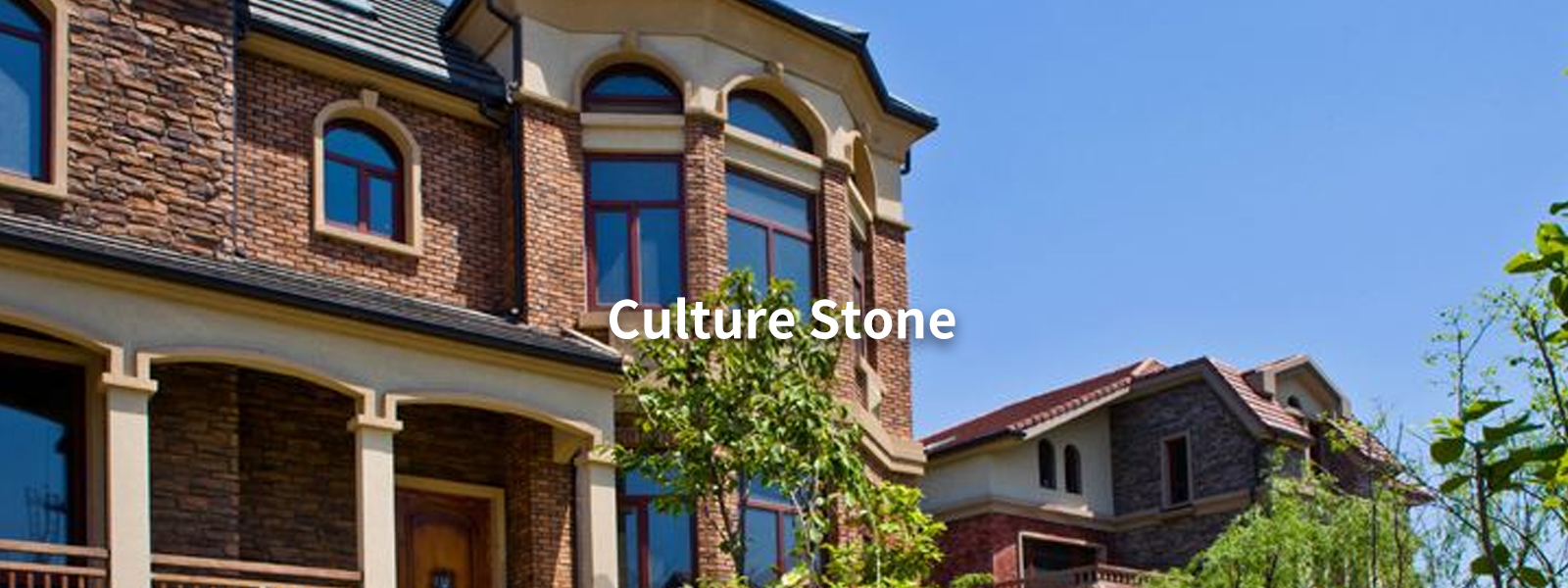 Culture brick